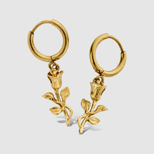 Pair